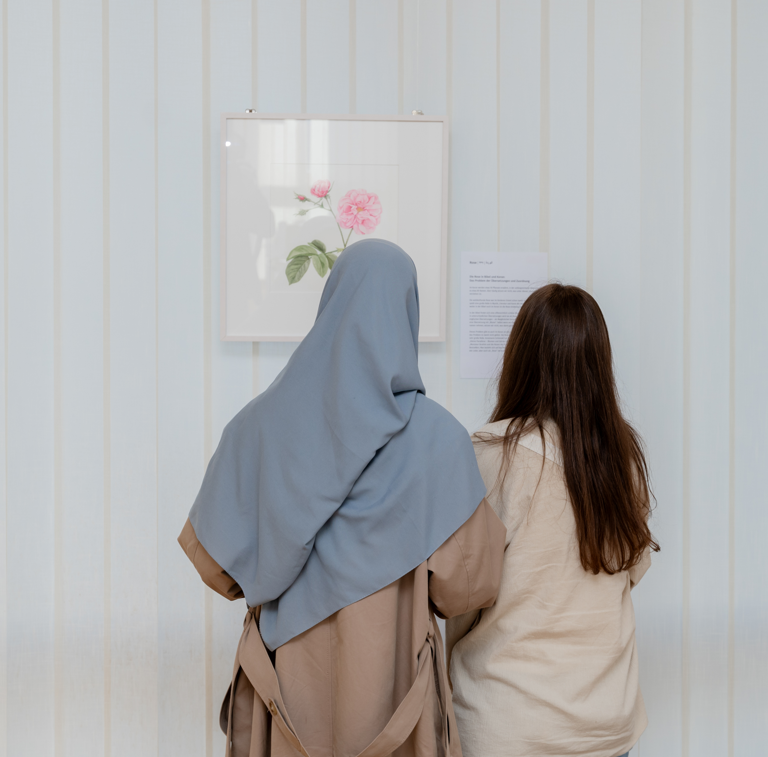 Rückblick: Pflanzen der Heiligen Schriften – Thora, Bibel, Koran